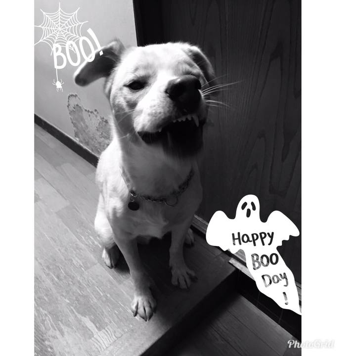 1d4a4bee 346e 4e3e 9cf6 7fdfbd6ea3a6 1540889348126