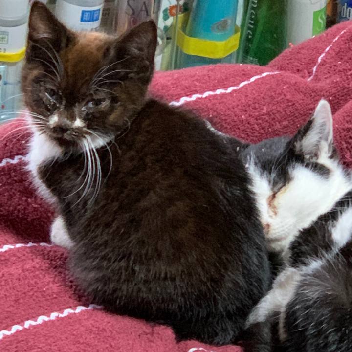 1d4a7182 ecd6 4177 9a37 e2475e9296e3 1579346264975