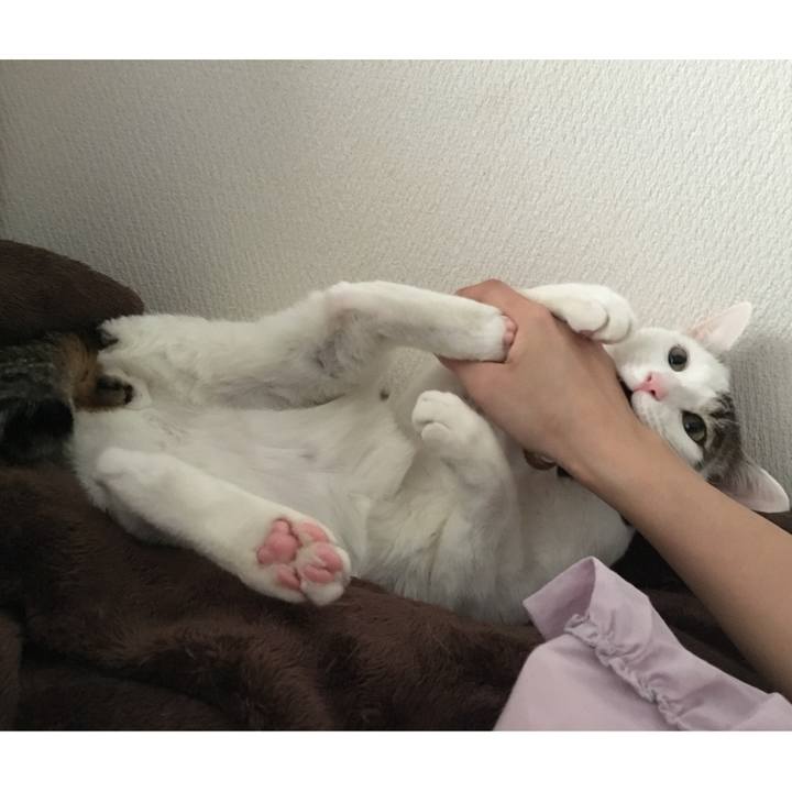 1d4a81c7 cb52 4c36 b482 38f10e48f1d1 1520041627632