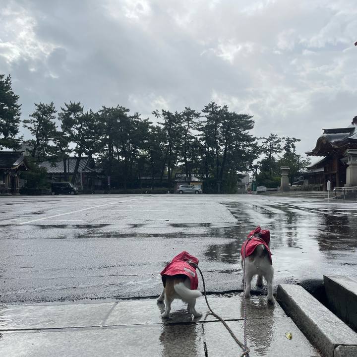 1d4abc8d c941 46f0 bc33 0f15dcfb1ed5 1693958389349