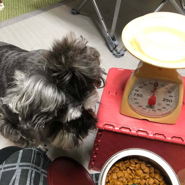 1d4ac5f9 7fe3 4cdb b821 9ee0bdcdf8e7 1562985130894