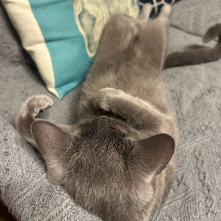 1d4ac6a6 8a8c 42a4 a364 ead9ecd01bf5 1747746984099