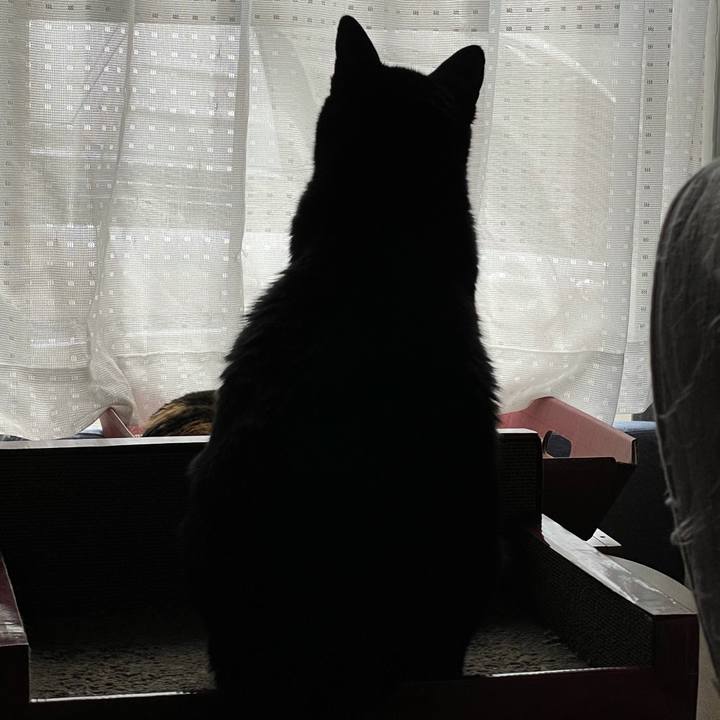 1d4af8aa d5f8 496e a9b2 b9f5a90a6d4b 1620870621446