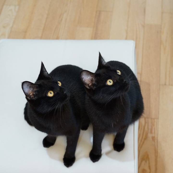 1d4b1b4e 9d0b 4d3f 9bfd 0fb0fbf3075f 1518326462049