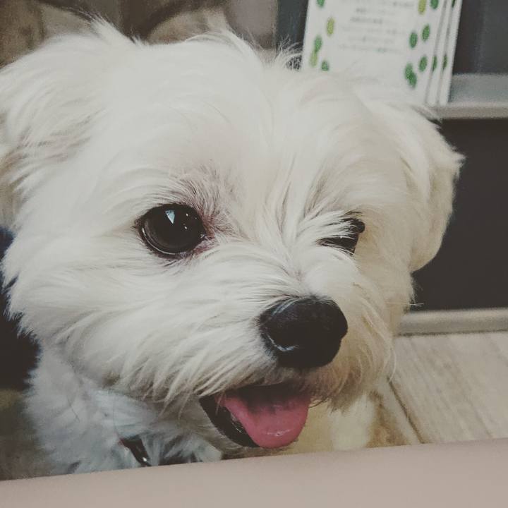 1d4b3d98 5e2c 4290 b68f f259c746ae25 1537186072220