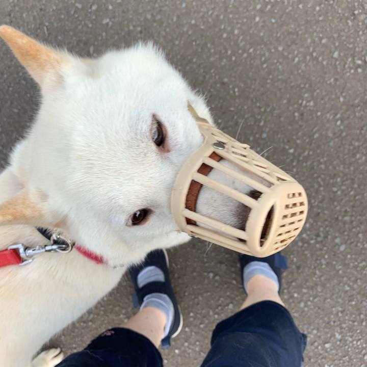 1d4b655d 671b 480e b53f 2a7a10f8a6f2 1564695736032