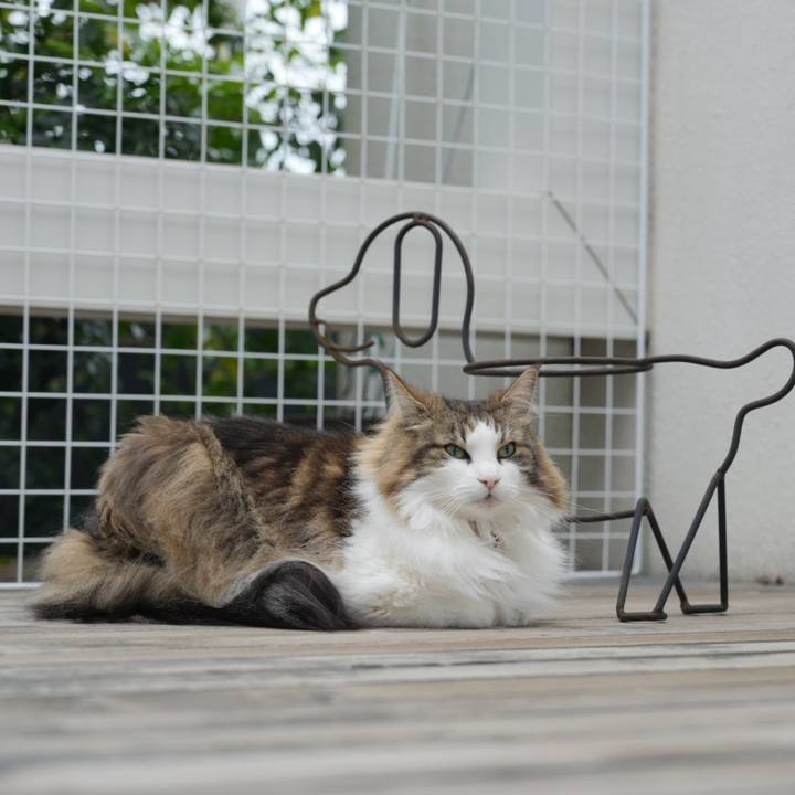 1d4b6eeb 3126 4906 8370 7b0f0d330d28 1714189916365