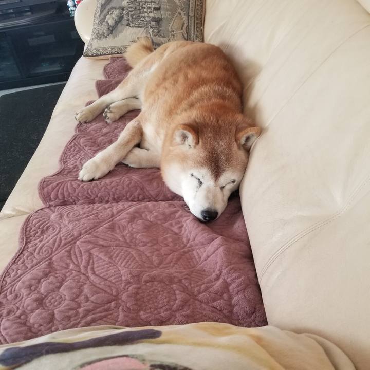 1d4b9998 73e6 44e2 9a77 9a759d9730a8 1742098408065