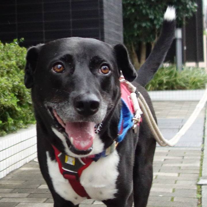 1d4ba5eb 5d6a 4a6c b445 98523abed430 1660437606642