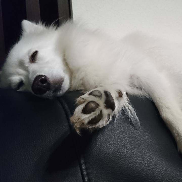 1d4bcd5b fe01 4bb8 9531 e10d4585ba52 1567938509754