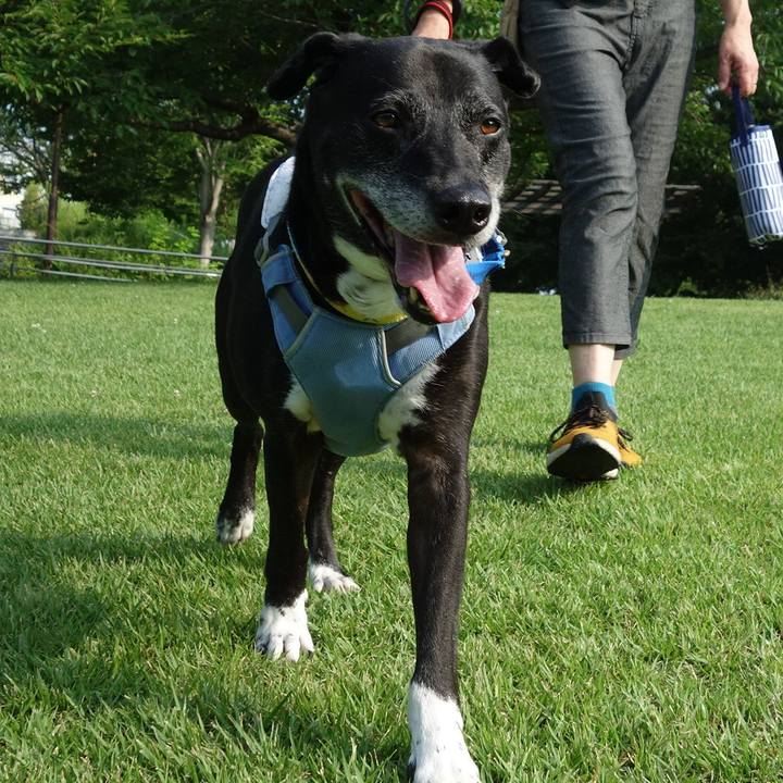 1d4c1ee9 b884 4e5f a611 41c69b20da83 1752019037514