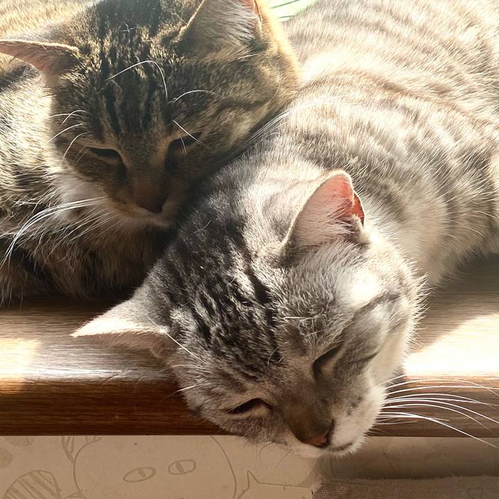 1d4c2d8b 78fc 4d15 b91f eff767656c09 1614999075244