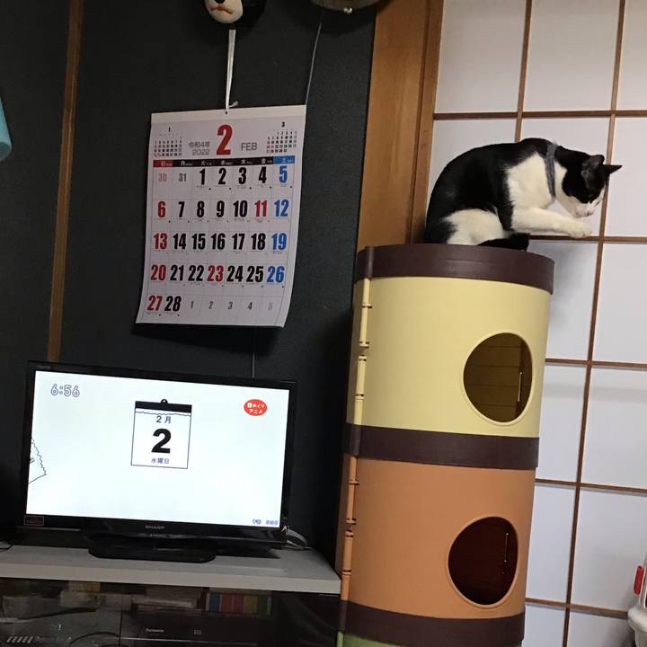 1d4c34cb f07e 4121 9e53 f5d55730435d 1643752832288