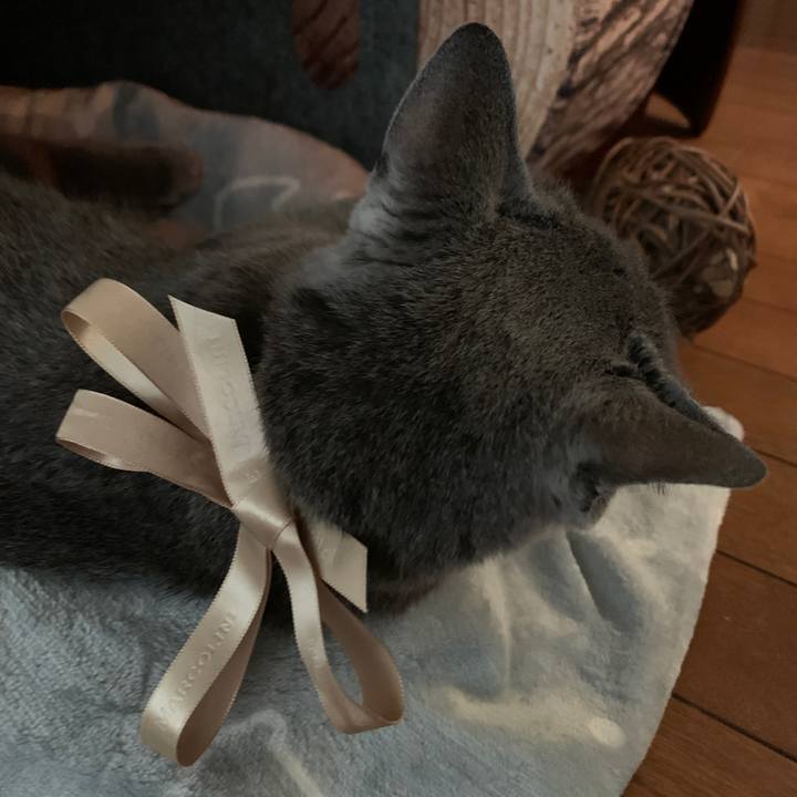 1d4c3ebf ecff 4c55 8692 8e5db3b2e6cc 1571956615045