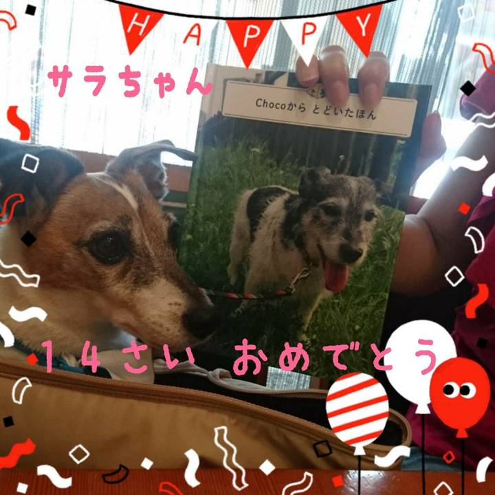 1d4cbdc0 50fd 4453 ae4e 2de8f065454c 1533533000083