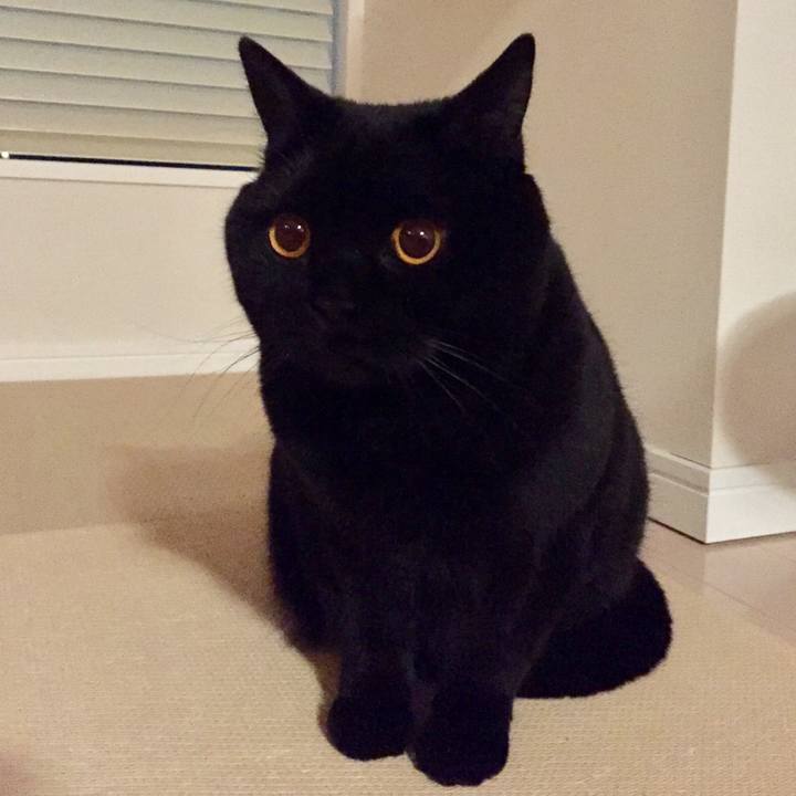 1d4cea8e 8234 4cbe a28a 77655af4dd56 1555157345377