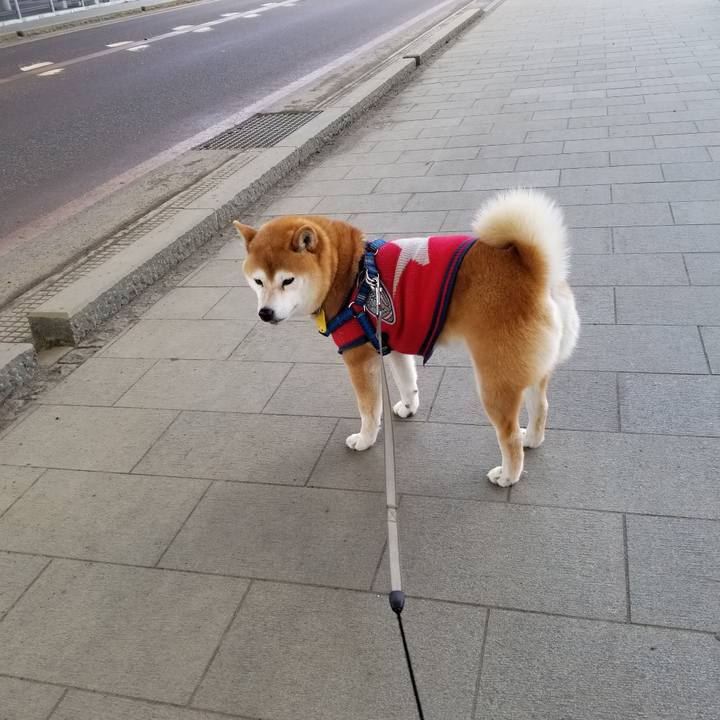 1d4cf48f 52d8 4d63 abdf 1b61afd897f3 1552445572123