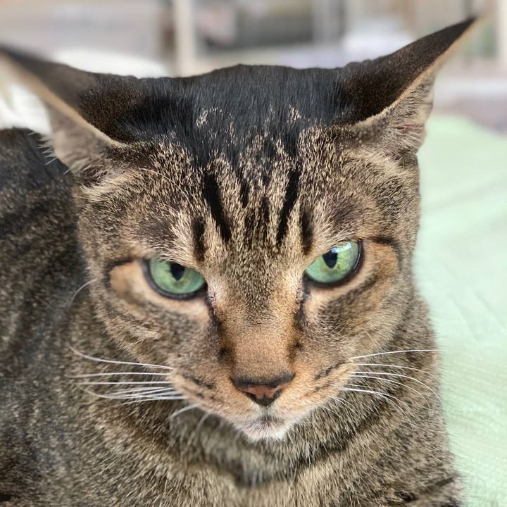 1d4cfd4c 8ff2 47f9 a597 e6ac1bfb32ba 1559869153955