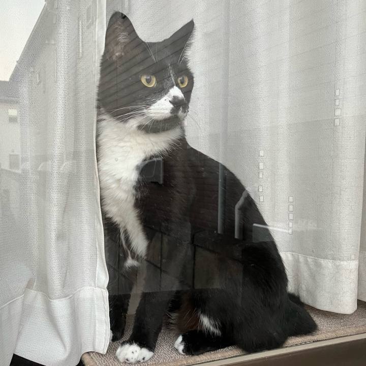 1d4d0e9e cf98 42a8 a93a 82aad82dc5cc 1696217728341