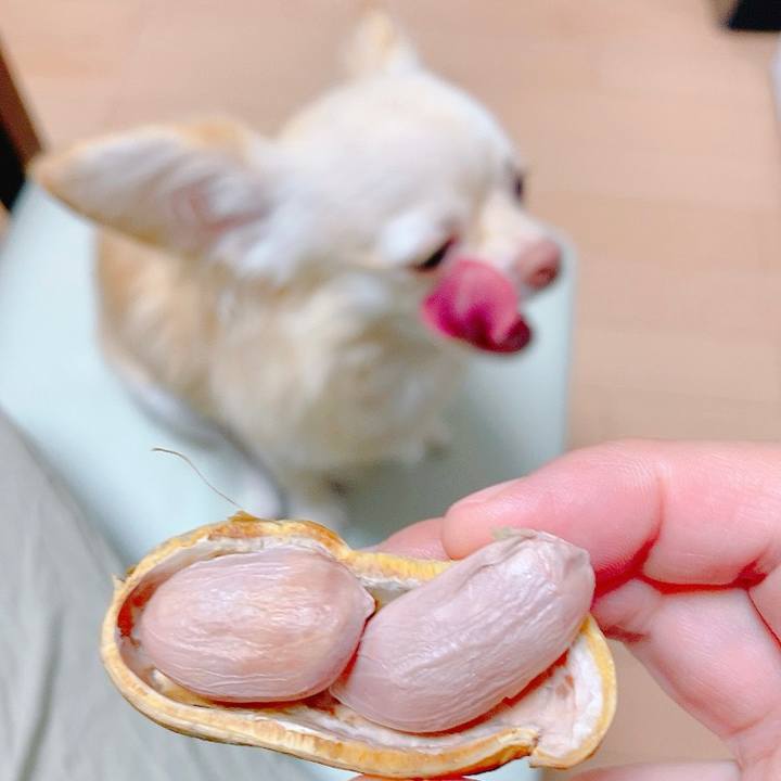 1d4d1a06 32a8 4e88 93fa cab4d211f732 1633488059774