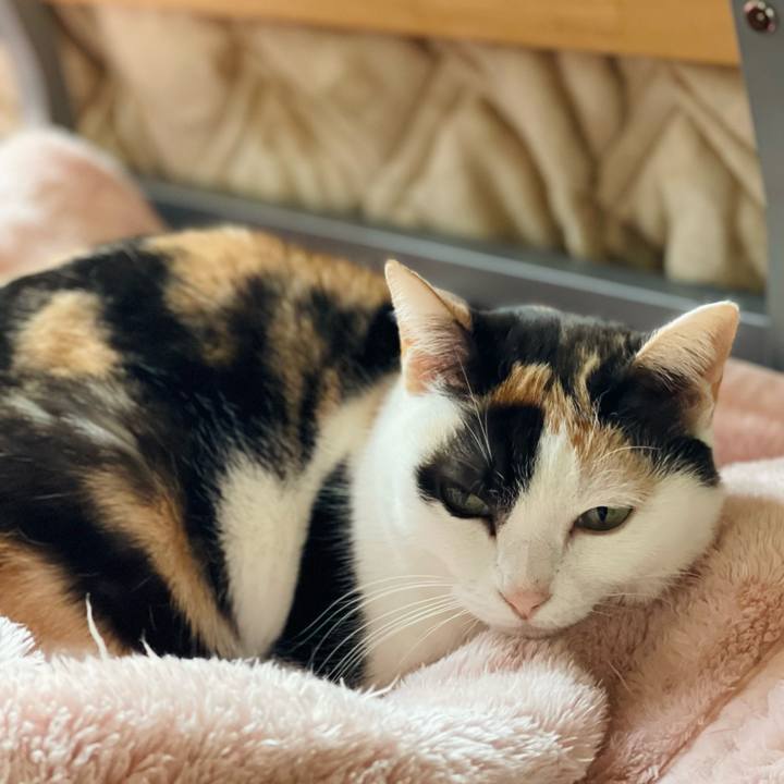 1d4d4c9e ed77 4e00 a7e6 8b4c702c9d46 1648952285272