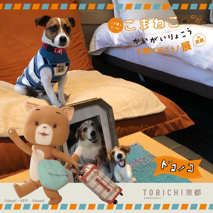 1d4d74c7 5f40 4f0d b8bb d9e6488c9900 1740232476322