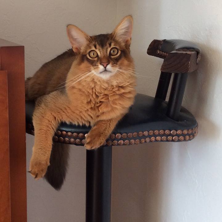 1d4d9544 bf90 4319 af61 3a16765064ad 1578710514782