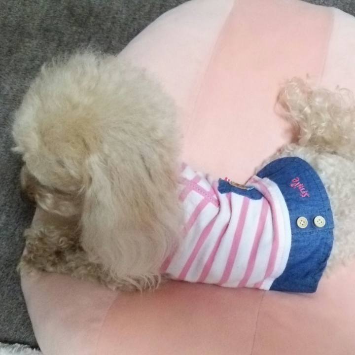 1d4dcbc3 ee1c 454a a4e9 0bc8c6127b33 1532954951458