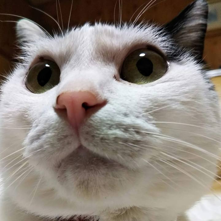 1d4ded39 2b3a 4512 8fb8 6fa24f6ed14a 1542538696048