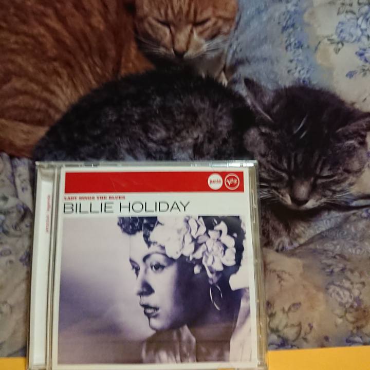 1d4df63a 2738 4042 87f8 e6a1d47cbff6 1623323104232