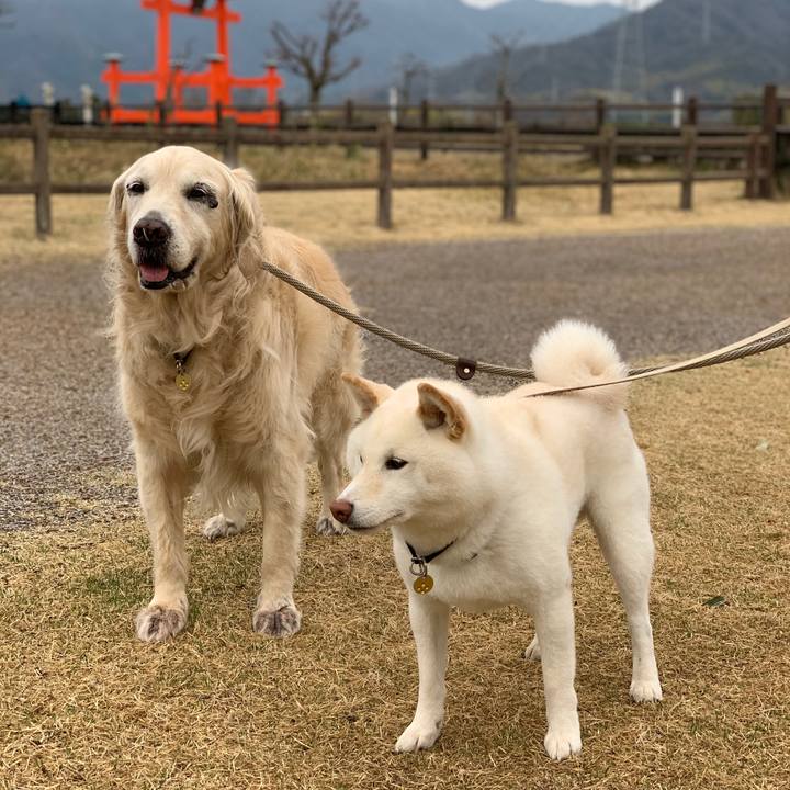 1d4e0e3d 3d4b 496b bf63 bf36dec15b1a 1584834275499