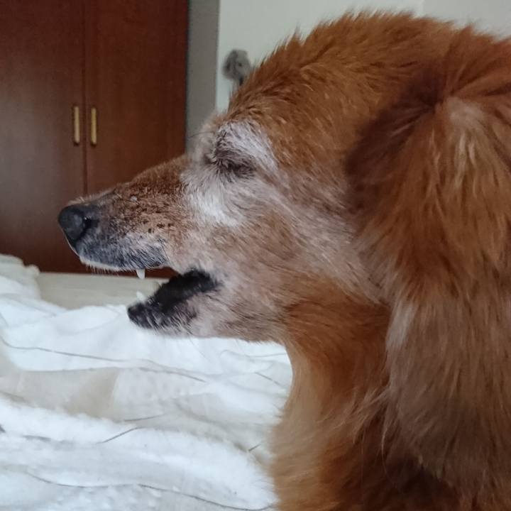 1d4e12aa a2fc 4bcb b2fe 9cb7acfd9341 1584640781759