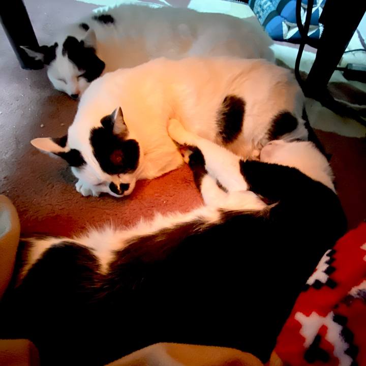 1d4e13f5 29ef 46a6 8b21 0428cd0fac43 1614475821148