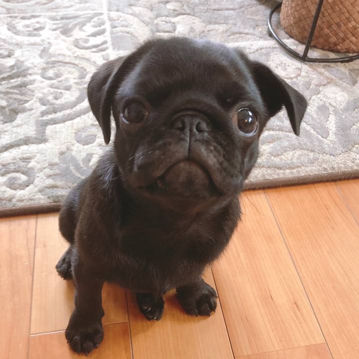 1d4e1532 7b30 49a6 a428 b12d118a4385 1589861726762