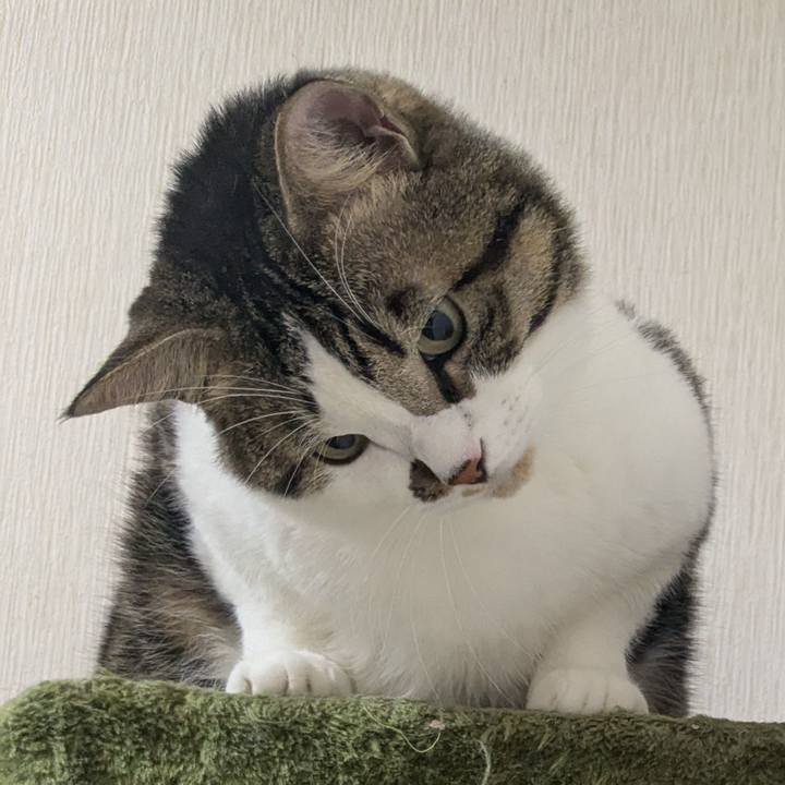 1d4e1b1e dd48 4a5b 8fae 00de46d0c460 1758456955132