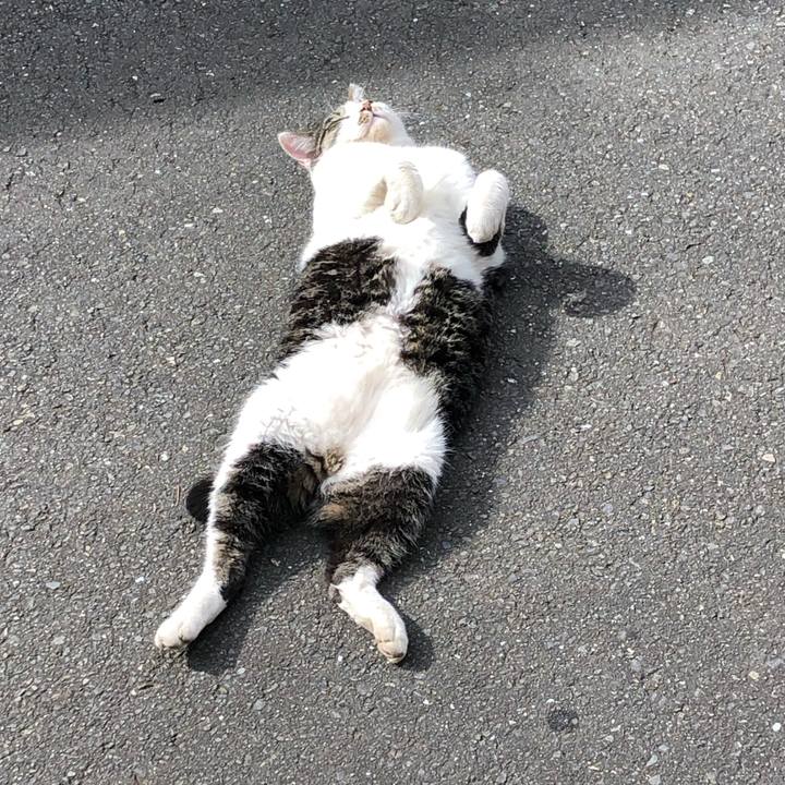 1d4e4a06 06bb 44ff a328 5222f3afd342 1604209056724