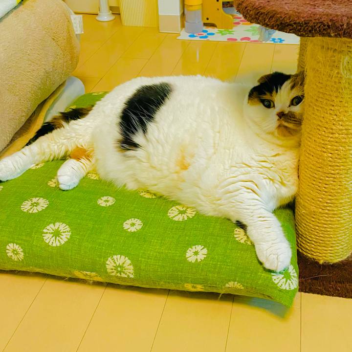 1d4e6a1a 3aad 44a3 a678 81b9795ce518 1641025888486