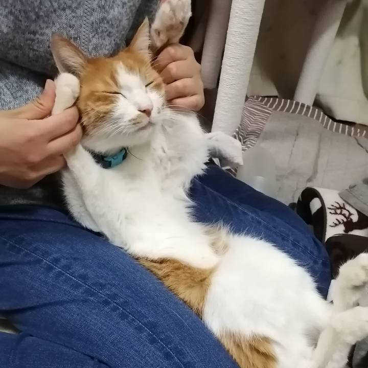 1d4e94e2 379e 4cb4 8e7e 696a941ffeda 1613041814336