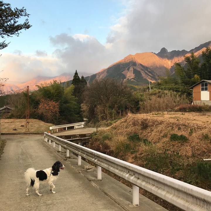 1d4ef370 5bfb 418b a755 f59d42c69f0a 1512479278602