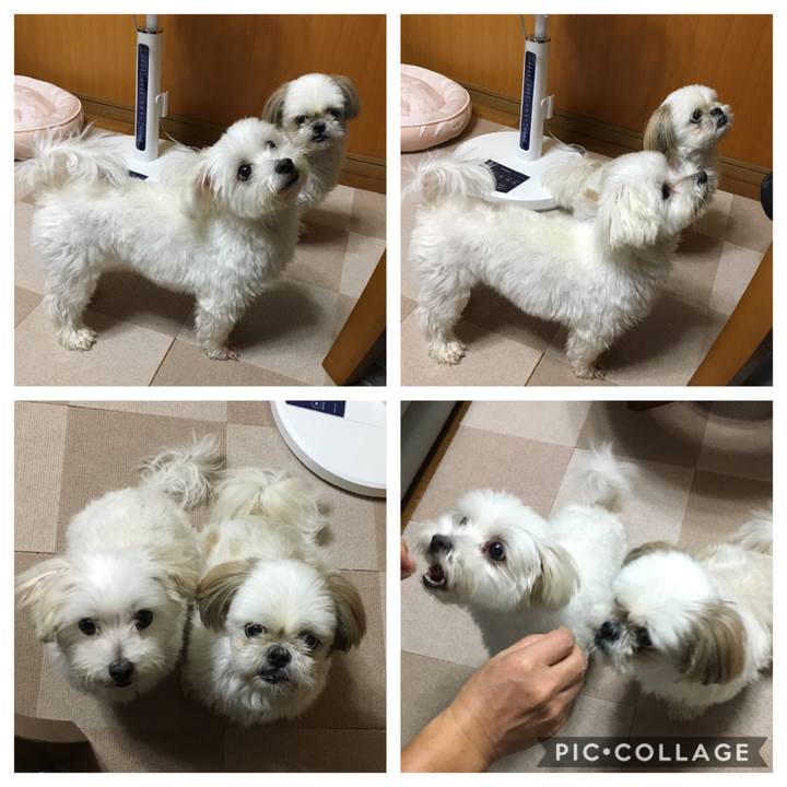 1d4f2098 f1f3 4e57 b47a 701849676104 1568895147737