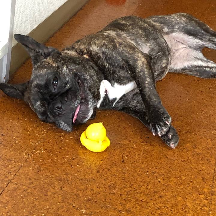 1d4f567d 0f0a 4a96 84e1 9c1e03966c18 1560765046742