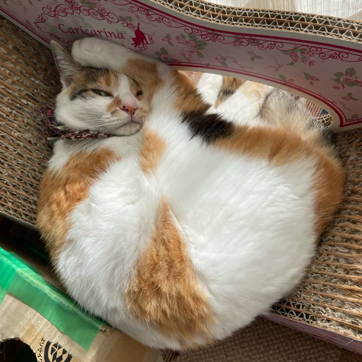 1d4f6053 d1dd 49c1 9644 f1104f6fe05b 1754203937465