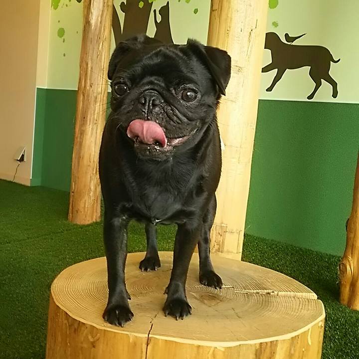 1d4f83c1 b559 497f 844a b205c575544a 1540271192889