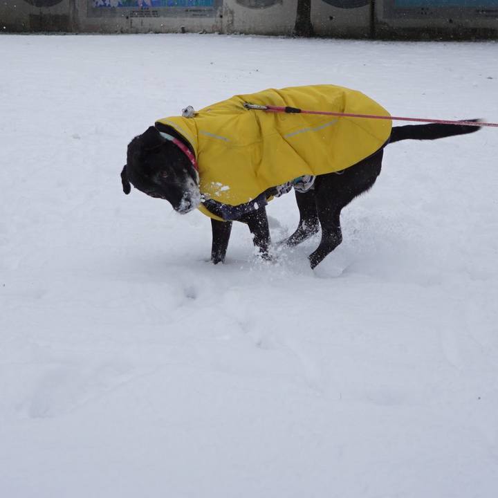 1d4f888c 0294 4314 b11a 056b6a6b5569 1770508613951