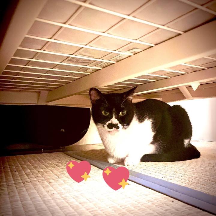 1d4f924b e2cd 4103 b64b 4b36e69283b4 1660736611889