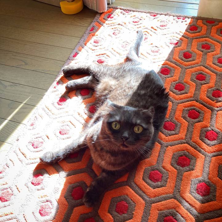 1d4fa2cf c85f 49da 898b 31ea447a3721 1589201999284