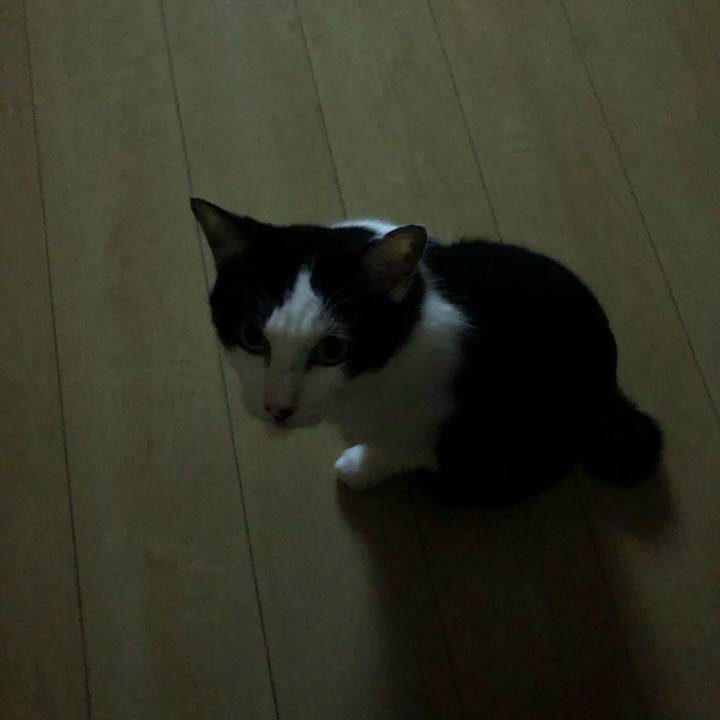 1d4fc6a6 1f6f 4c3f 95b5 d5d6365b20bb 1570849974063