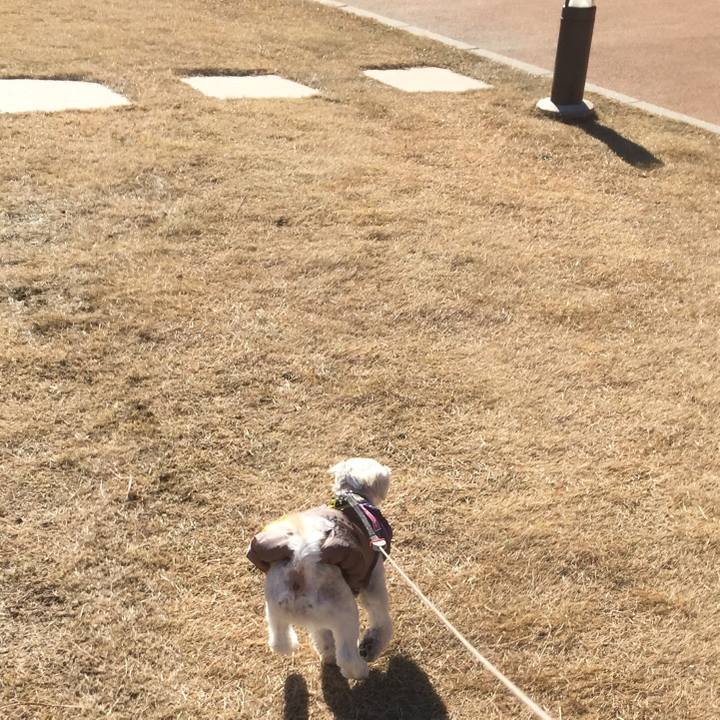 1d4fc7e3 9fab 44e0 9d16 9c4eceba134d 1513501573632