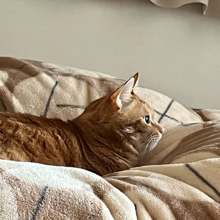 1d4ffc7e b203 4f1d bcec 4acf3722970c 1682724137844