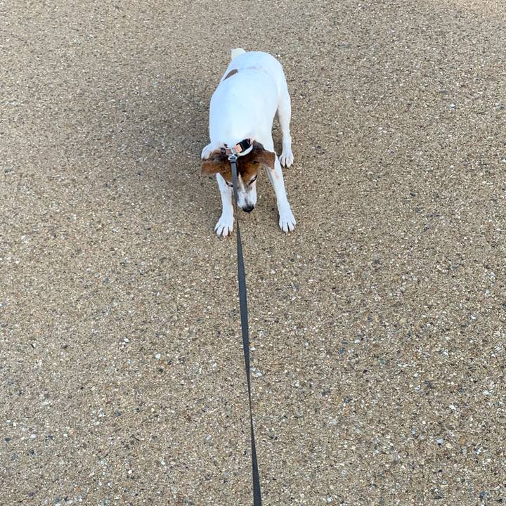 1d500be2 0c3e 42fb 897d eb02ae312bf2 1573953009149